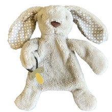 Load image into Gallery viewer, Bunny Comforter with Dummy holder
